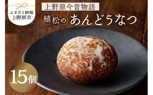 【人気 和菓子】 名菓 あんどうなつ（15個 ） 和菓子 ドーナツ ドーナッツ お菓子 スイーツ あんこ 山梨県産 名菓 あんドーナツ あんどうなつ ギフト 贈り物 プレゼント 送料無料 山梨県 上野原市