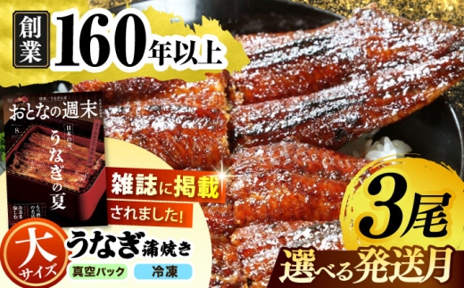 【うなぎや】【11月発送】 炭火焼 うなぎの蒲焼き 3尾 【紀州備長炭使用】 鰻 ウナギ 土用の丑の日 丑の日 蒲焼き 蒲焼 老舗 真空パック 特大 大 特上 送料無料 多治見市 [TFO003]