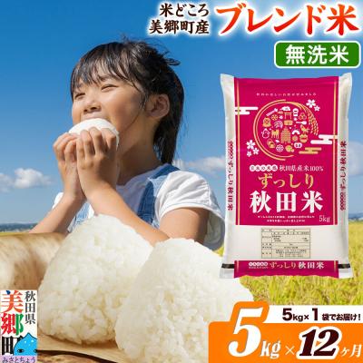 ふるさと納税 美郷町 《定期便12ヶ月》ブレンド米【無洗米】精米 5kg(5kg×1袋)|01_ssn-010512m