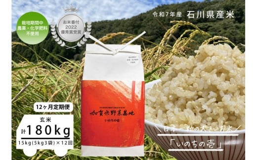 【12ヶ月定期便】【お米番付優秀賞受賞農家】日本一粒の大きいお米『いのちの壱』玄米15kg×12回