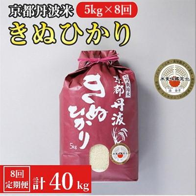 ふるさと納税 亀岡市 【毎月定期便】京都丹波米 きぬひかり 5kg全8回
