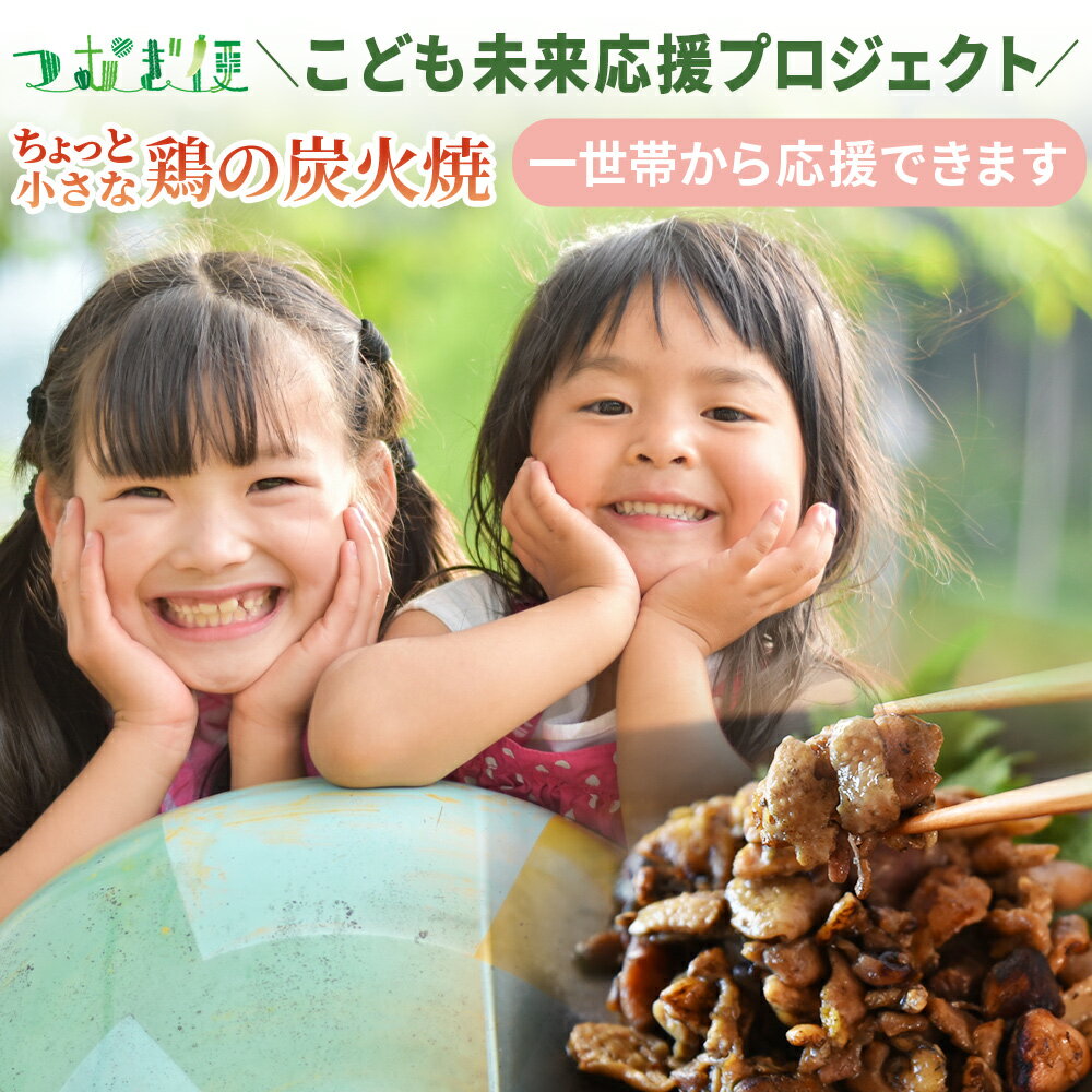 【ふるさと納税】＜こども未来応援プロジェクト　つむぎ便 ちょっと小さな鶏の炭火焼＞ 返礼品なし 選べる 数量 支援 ボランティア 国産 肉 鶏肉 手焼き フードバンク 常温保存 非常食 保存食 おかず 惣菜 宮崎名物 炭火焼き レトルト 平和食品工業 宮崎県 国富町【常温】
