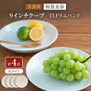【ふるさと納税】【美濃焼】[軽量食器] TLPリムバンド ホワイト 9インチ クープ×4枚 セット【井澤コーポレーション】≪多治見市≫ 食器 皿 プレート [TBP100]