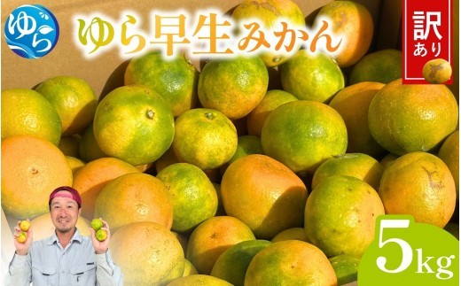 
                  ＼訳あり／ ゆら早生みかん 5kg / みかん ミカン 和歌山県 柑橘 早生 甘い 蜜柑 フルーツ 果物 くだもの 食品  産地直送 由良町 ご家庭用 ゆら早生 早生みかん ※2026年10月上旬～10月下旬頃に順次発送予定【kwgc003-c-5】
                