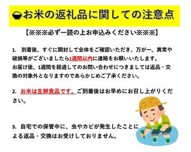 【令和7年産米】あきたこまち 精米 300g(2合)×3袋 あきたこまち [A15701]