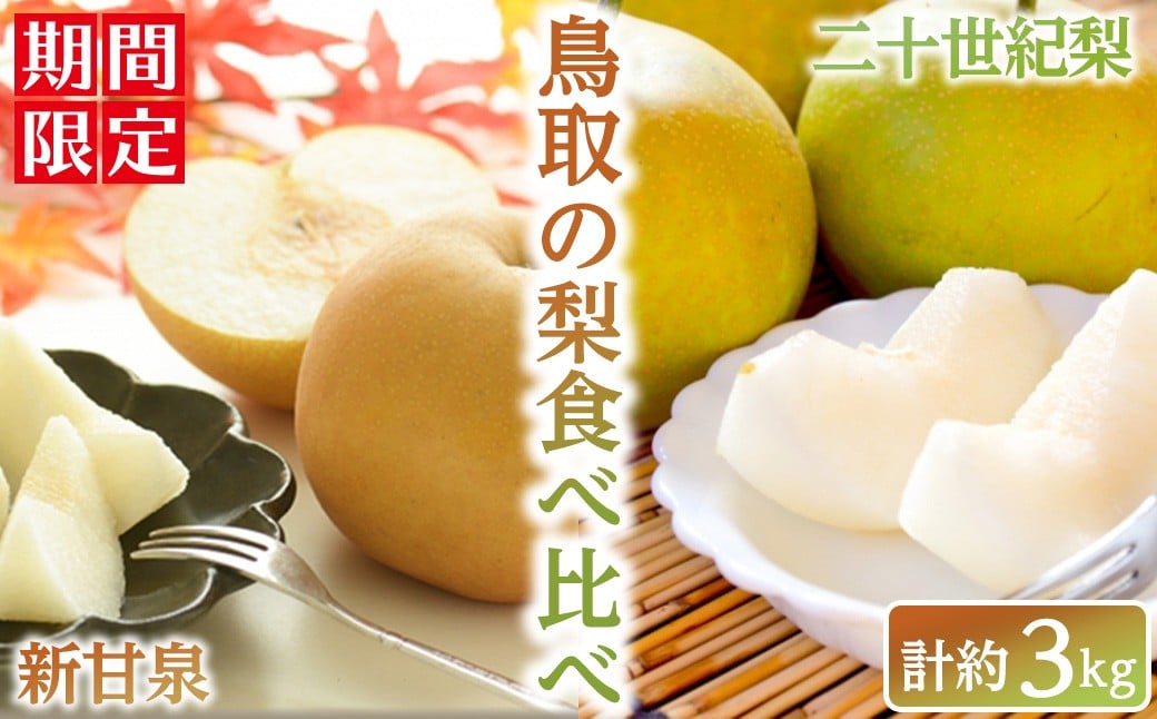 
            ＜数量限定＞＜2025年8月下旬以降順次発送予定＞鳥取の梨食べ比べ(新甘泉/二十世紀梨・計約3kg)【sm-BZ009】【岡田商店】
          