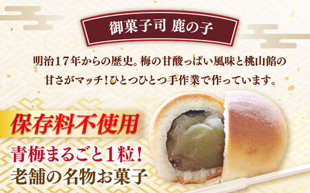 餅 福袋 里山満喫セット [ABZY017] 餅