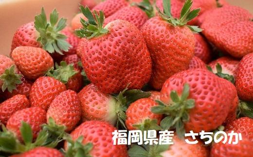 【2025年1月発送開始】いちご2種食べ比べセット「あまおう」「さちのか」各2パック計1,160g★あんずの里[F0073]