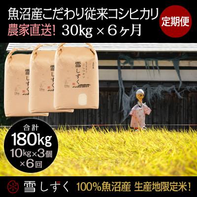 ふるさと納税 十日町市 【毎月定期便】魚沼産こだわり従来コシヒカリ  30kg(10kg×3袋)×6回 合計180kg全6回