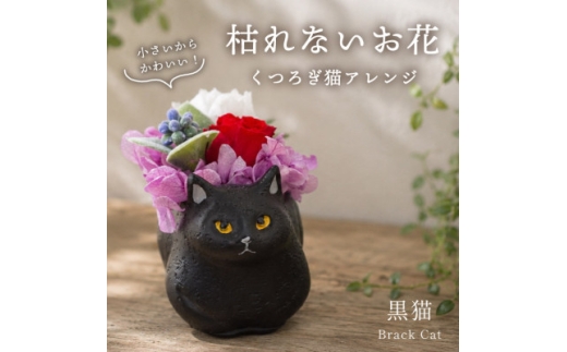 プリザーブドフラワー くつろぎ猫 黒猫 枯れないお花、ネコ好きの方へのプレゼントにもおすすめ!【1750208】