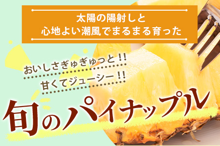 石垣島産パイナップル　2～6個　約3kg《2025年5月から順次発送いたします》KP-14