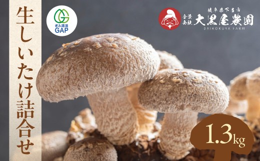 菌床生椎茸  詰め合せセット（4パック＋3袋）7品 　計1.3kg  生椎茸 しいたけ シイタケ 生しいたけ 下呂温泉 【大黒屋農園】