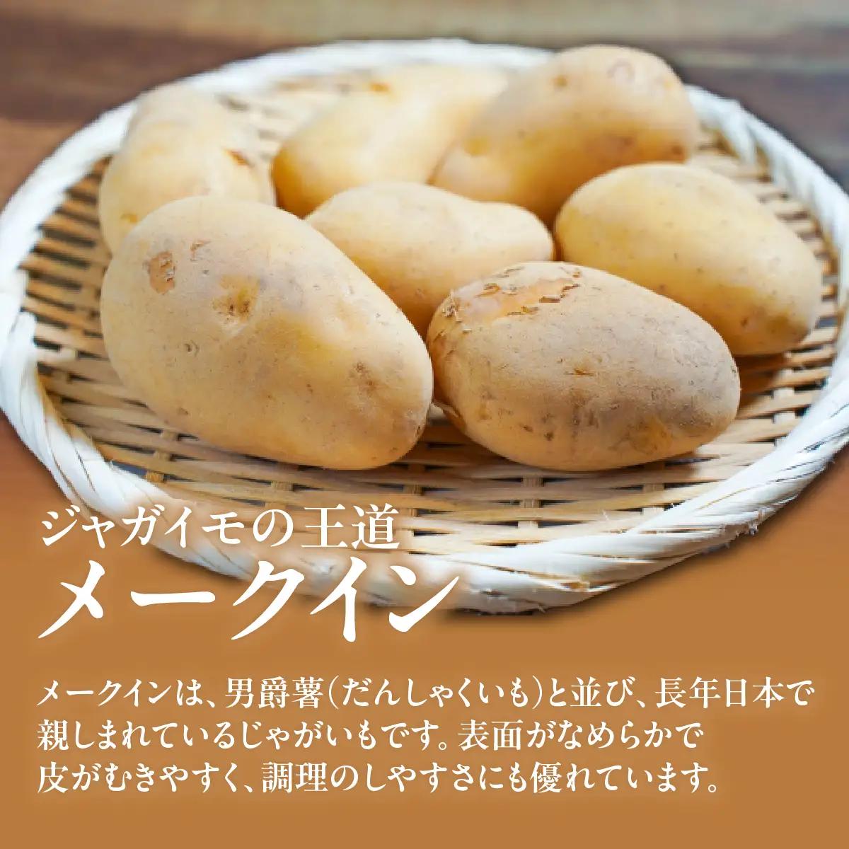 【2026年7月下旬頃より順次発送】(訳あり) じゃがいも メークイン 5kg ASG081