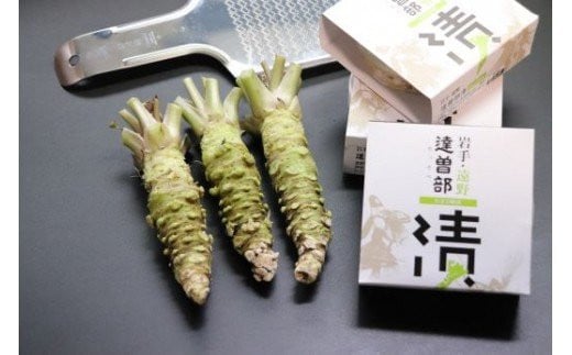 【生産者直送】根わさび 真妻 200g (3～4 本)   と たっそべ漬け（粕漬）のセット 山葵用おろし金付【葵食品】 生産者直送 生 新鮮 岩手県 遠野市 特産 /刺身 お肉 ステーキ 薬味 わさび丼 わさび漬