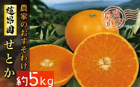 【せとか】 B品 家庭用 5kg 【順次発送中】 | 愛媛産 愛媛県産 国産 愛媛みかん 愛媛蜜柑 愛媛ミカン みかん ミカン mikan 蜜柑 柑橘 フルーツ 果物 くだもの お取り寄せ 産地直送 数量限定 人気 おすすめ 愛媛県 松山市 送料無料【RNK0052】