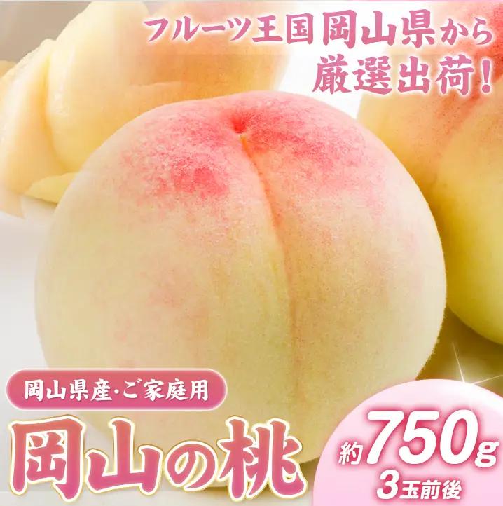 【2027年発送】 桃 岡山の 桃 約750g