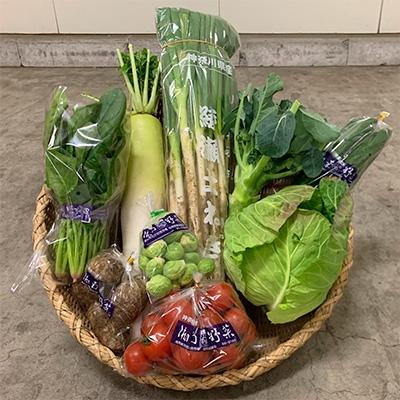 ふるさと納税 藤沢市 旬の湘南野菜おまかせセット　さとふる便 |  | 01