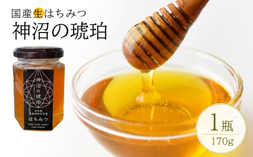 
                  非加熱 国産生はちみつ『神沼の琥珀』　170g×1個【11100-0358】
                