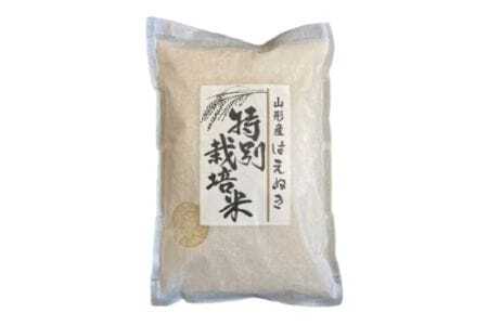 《定期便》山形県高畠産はえぬき4kg（2kg×2）6回 F20B-504