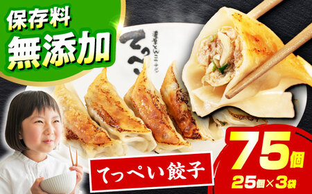 てっぺい餃子75個[AOCX010] 餃子