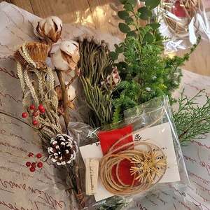 Xmas 自分で作る スワッグ 【赤】新潟 阿賀 たけむら生花店  キット｜季節 おまかせ インテリアグリーン ドライフラワー 花 贈り物 花束 ギフト 送料無料 プリザ クリスマス プレゼント 壁掛