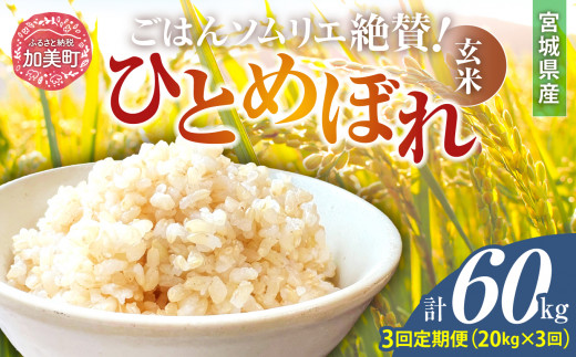 【3回定期便】新米 玄米 令和6年産 宮城県加美町産ひとめぼれ 計60kg (10kg×2袋)×3回 [菅原商店 宮城県 加美町 ]  | sg00002-r6-20kg-3