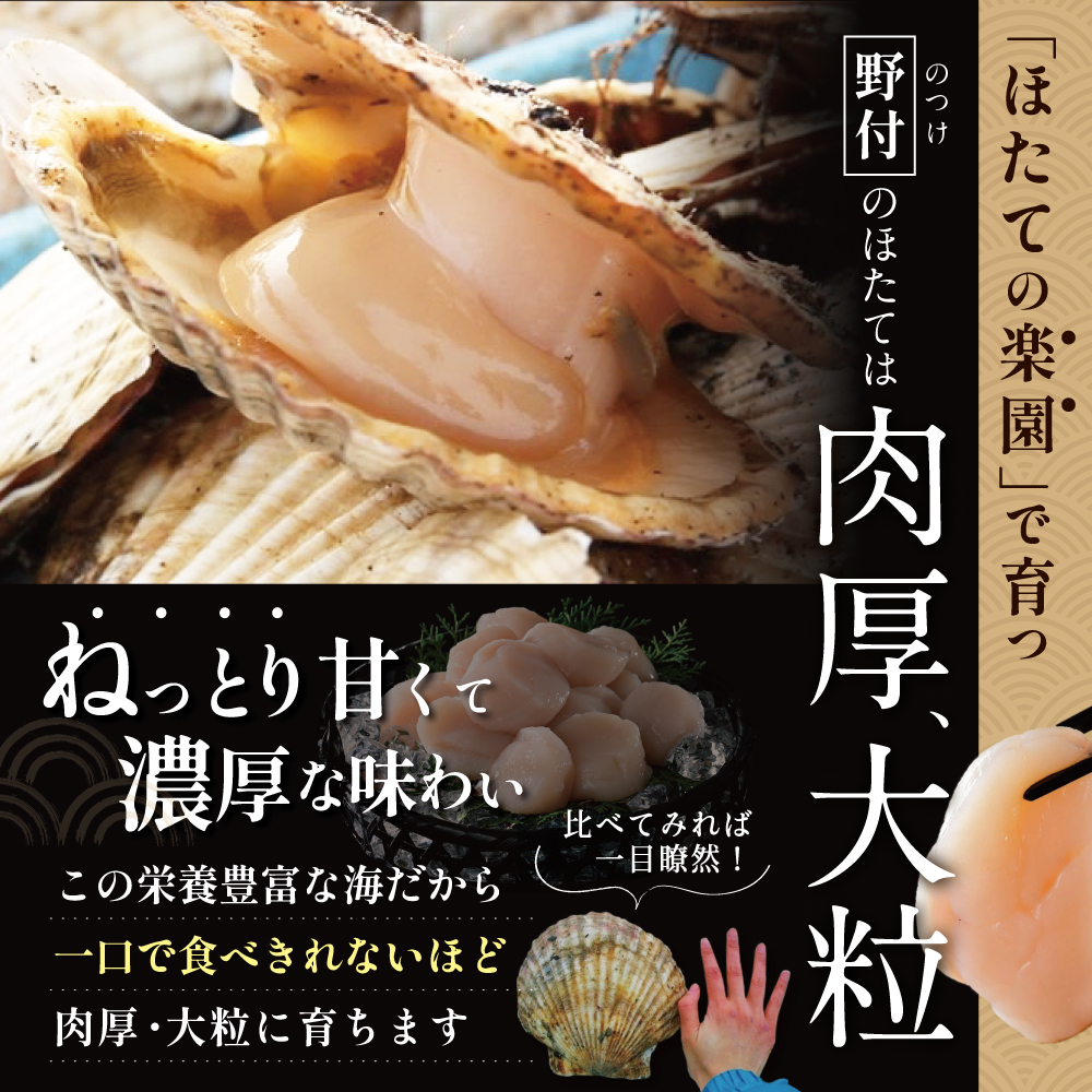 北海道野付産 特大ほたて 500ｇ 個包装（10〜13⽟前後）（Lサイズ）【KN0000025】_イメージ4
