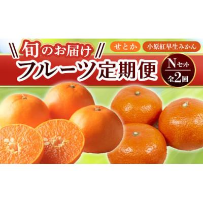 ふるさと納税 琴平町 【発送月固定定期便】香川県・三豊市共通返礼品　フルーツ旬の果物　Nセット全2回