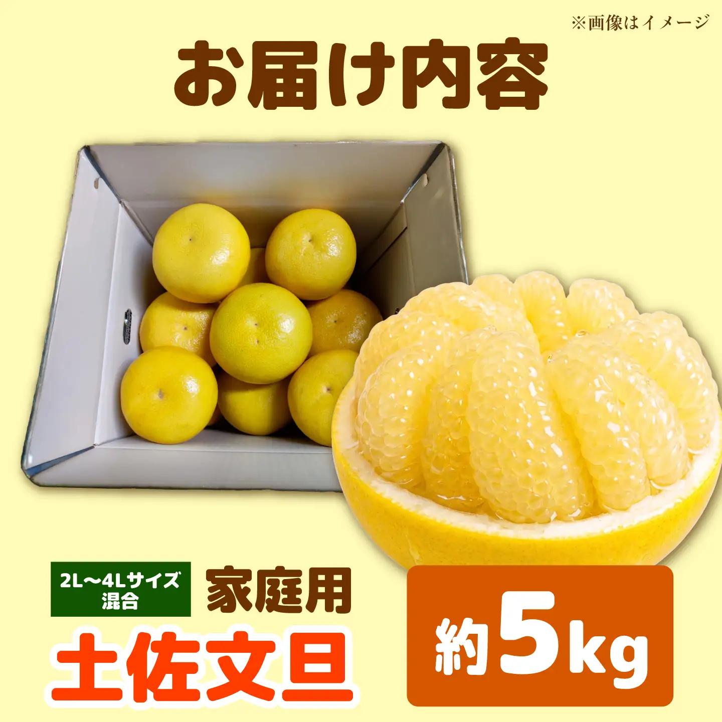 【先行予約】土佐文旦 大玉 家庭用 約5kg（2L-4Lサイズ混合：8玉-12玉） 先行予約 数量限定 文旦 ぶんたん ブンタン 5キロ 柑橘 フルーツ 果物 ご当地 お取り寄せ 土佐 高知＜2027