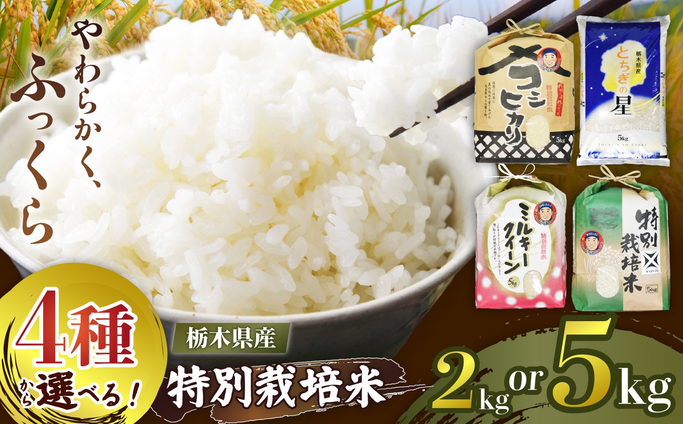 
                  栃木県矢板市産 お米 2kg～5kg 新米【2026年秋 先行予約】選べる 銘柄 こしひかり とちぎの星 ゆうだい21 ミルキークイーン 特別栽培米  |  栃木県 矢板市
                