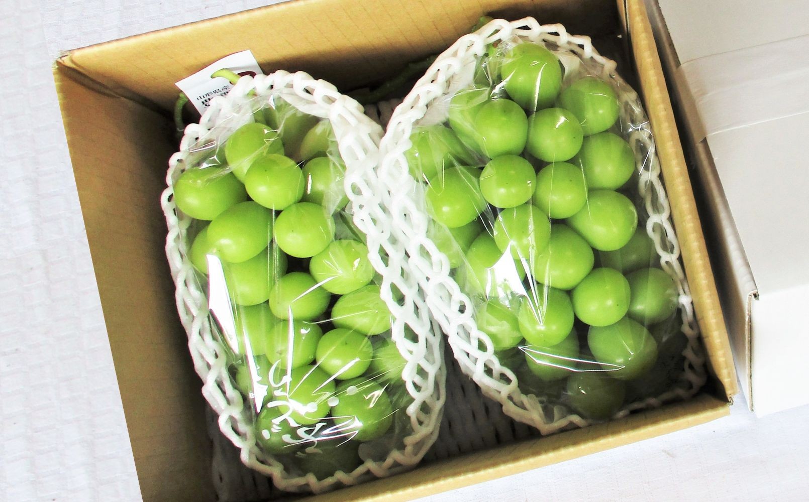 
                  ぶどう（シャインマスカット）２房　合計１.５ｋｇ以上　0025-2611
                