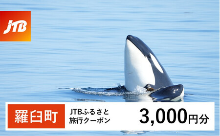 【羅臼町】JTBふるさと旅行クーポン（3,000円分）有効期間3年（Eメール発行）｜旅行 トラベル 予約 国内旅行 JTB 宿泊 観光 体験 旅行券 宿泊券 旅行予約  ホテル 旅館 チケット 子供 子連れ カップル 家族 人気 おすすめ 旅行クーポン 店頭 オンライン ネット予約 電話 有効期間3年