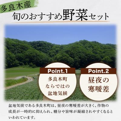 ふるさと納税 多良木町 野菜ソムリエ監修 旬のおすすめ野菜セット 4〜6種類(1〜2名様向け) |  | 01