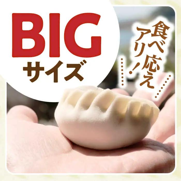 焼き餃子 45ヶ[AHBM003] 餃子のかわしも