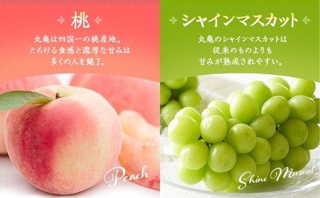 フルーツ定期便 丸亀讃美果 計12回定期便／ 果実 果物 旬 定期配送 シャインマスカット 桃 みかん いちご ピオーネ ぶどう　詰め合わせ 詰合せ  