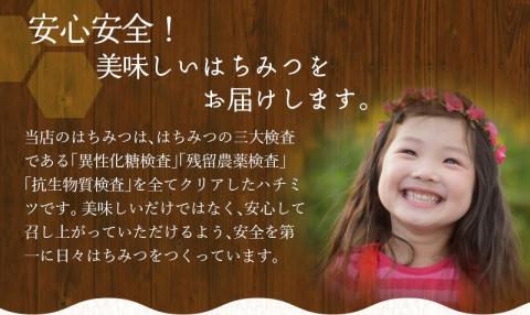 【数量限定】希少ハチミツ 南紀熊野蜜 1kg（1000g瓶×1個） / 古座川流域で採取した日本みつばちのはちみつ 南紀熊野蜜E【tkd204】