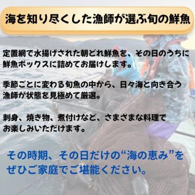 ふるさと納税 奈半利町 定置網朝どれ鮮魚ボックス6kg　133003 |  | 01