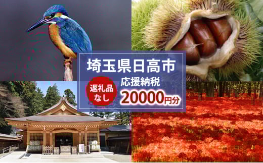[№5712-0742]【返礼品無し】日高市応援ふるさと納税　20,000円分