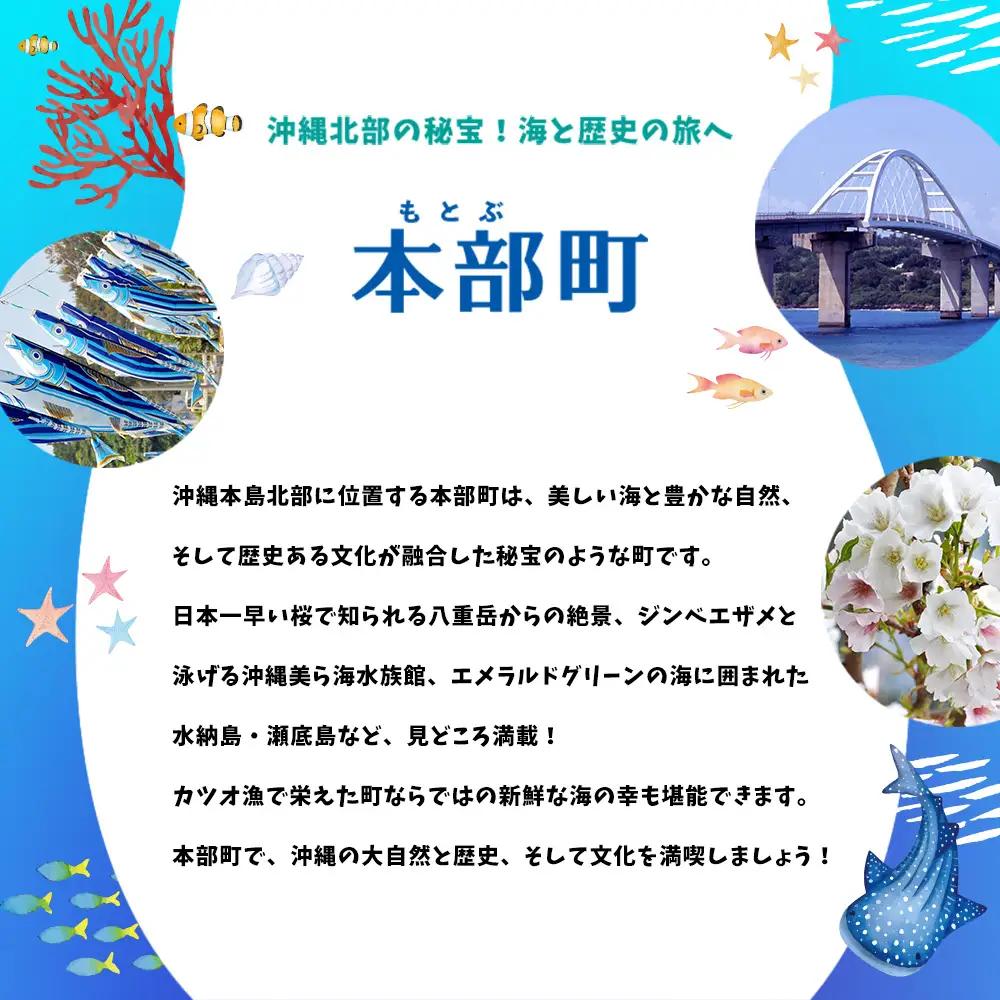 HISふるさと納税クーポン（沖縄県本部町）3万円分 観光 