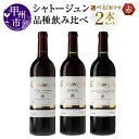 【ふるさと納税】 ワイン シャトージュン 赤ワイン 飲み比べ 選べる組合せ プティベルド メルロ カベルネ・ソーヴィニヨン 750ml 2本 セット お酒 赤 ミディアムボディ 日本 山梨県 甲州市 母の日 父の日 記念日 ギフト (MG)