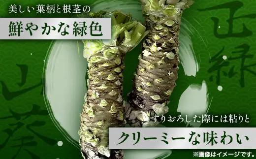 那賀わさび (正緑) 約100ｇ 1～2本 【徳島県 那賀町 生産者直送 産地直送 本わさび わさび ワサビ 生わさび 山葵 野菜 香味野菜 国産 正緑 薬味 調味料 万能 新鮮】FN-01