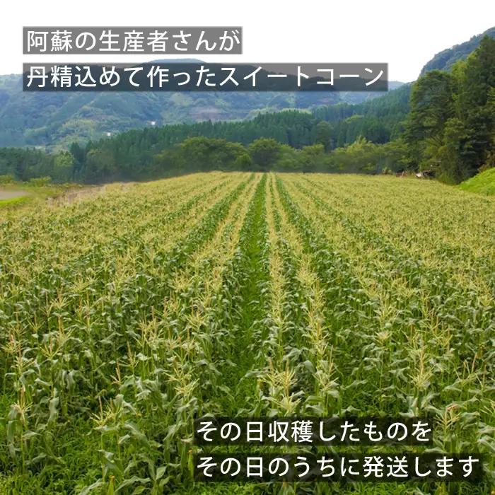 産地直送！ みんな大好きスイートコーン5kg～ふるさとセット～