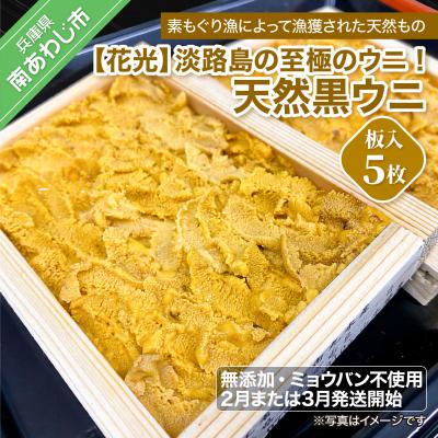 ふるさと納税 南あわじ市 先行受付【花光】淡路島の至極ウニ!天然黒ウニ(板入5枚)【無添加・ミョウバン不使用・期間/数量限定】 | 