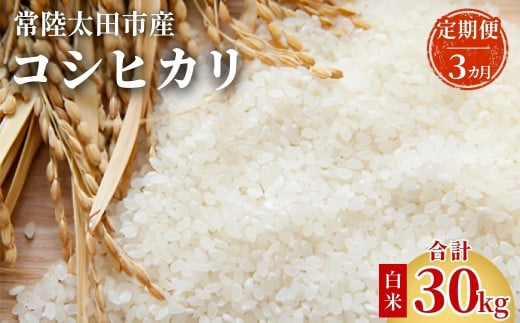 【定期便】令和7年産 茨城県 常陸太田市産 コシヒカリ10kg（全3回）｜こしひかり 米 こめ コメ お取り寄せ 米どころ 茨城県産 贈答 人気 ランキング ごはん 贈り物 10キロ 風味 甘い 常陸太田市 茨城県