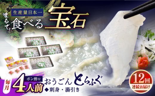 【全12回定期便】活〆おうごんとらふぐ 刺身 セット（4人前） 平戸市 / 松永水産 [KAB281]おうごんとらふぐ 刺身 通販 お取り寄せ 長崎 高級魚 海鮮 グルメ ごちそう トラフグ ふぐ