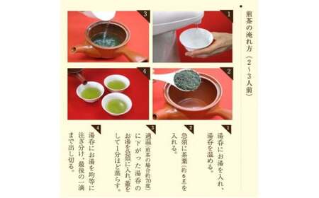 自社製造の深蒸しの八女茶！茶ごころ100g入り5袋セット　008-005