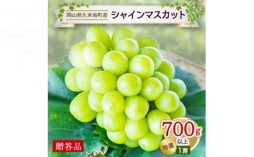 久米南シャインマスカット「特選」700g以上(1房)＜贈答用＞【1040064】