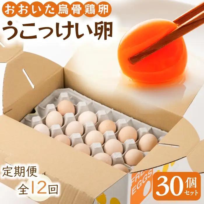 【定期便 全12回】大分うこっけい卵（生食用30個×12回） | 卵