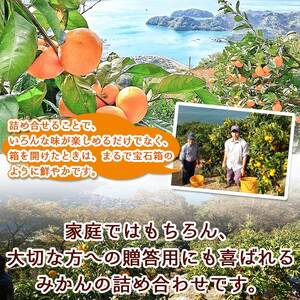 産地直送!！　愛媛県明浜町産　旬の柑橘　宝石箱（宇都宮農園）
