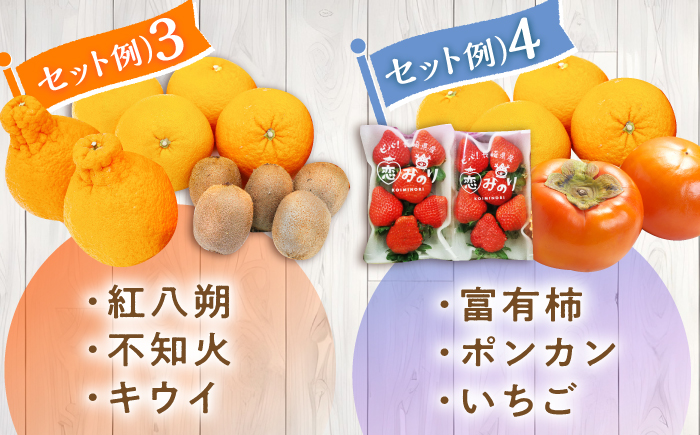 【12回定期便】フルーツ定期便 旬の果物をお任せで2～3品目お届け（2～3品目×12回）季節の果物 詰め合わせ 果物 セット / フルーツ 果物 春フルーツ 夏フルーツ 秋フルーツ 冬フルーツ /  